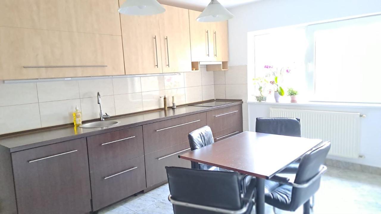 Daria Lorenzo Apartament Timişoara Exterior foto